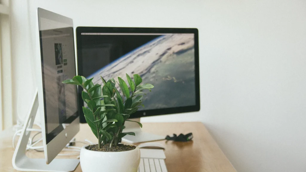 Deux écrans d'ordinateur côte à côte sur un bureau en bois clair avec une plante verte
